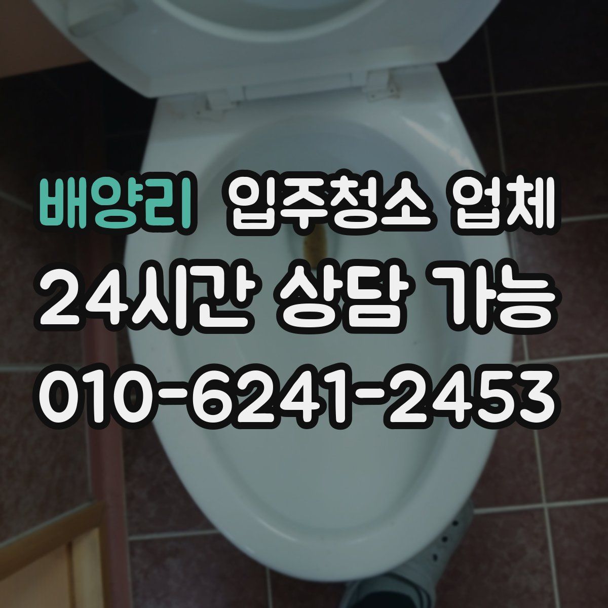 배양리 입주청소 업체