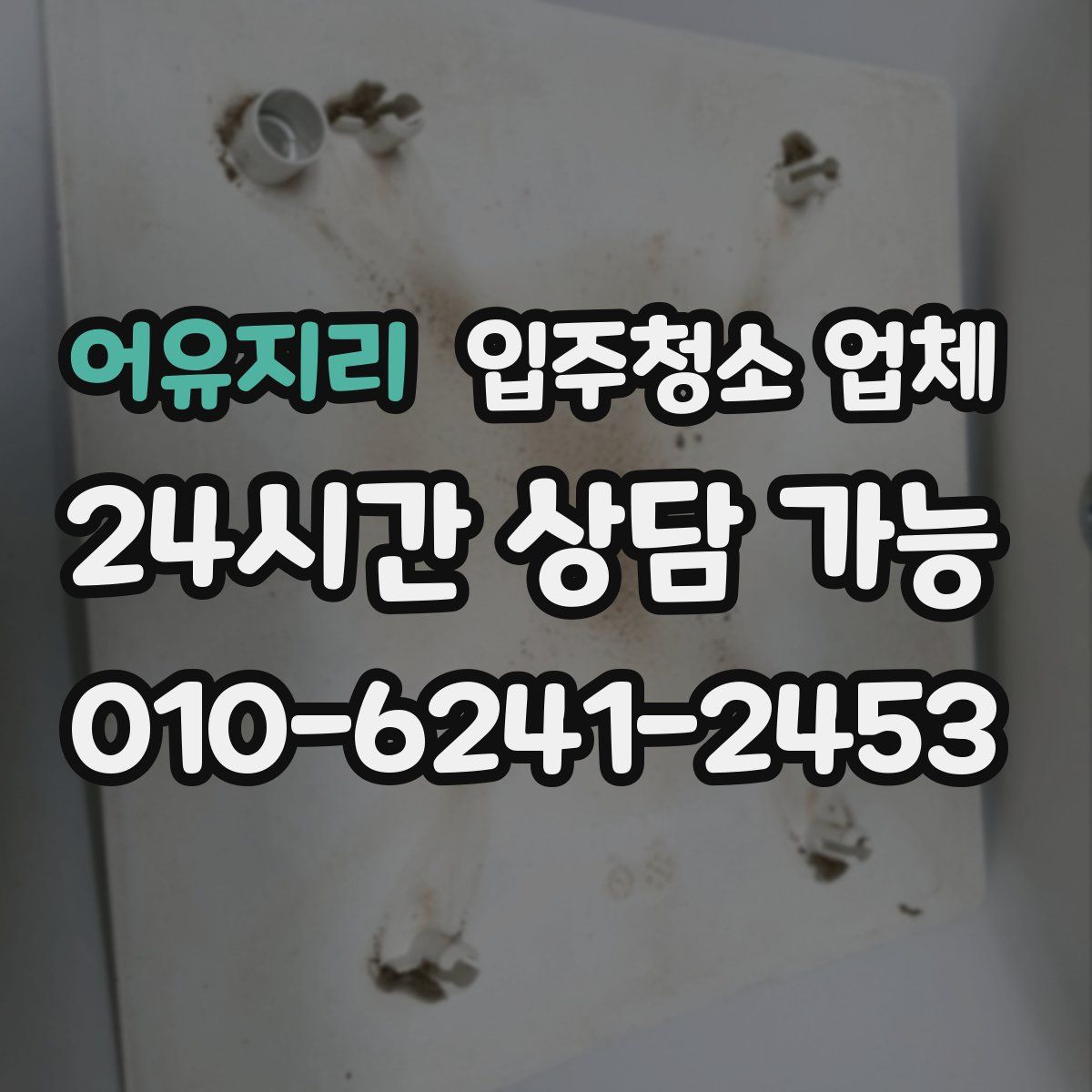 어유지리 입주청소 업체