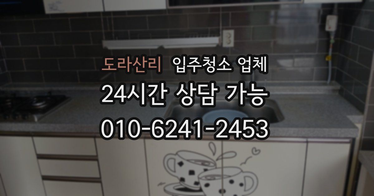도라산리 입주청소 업체