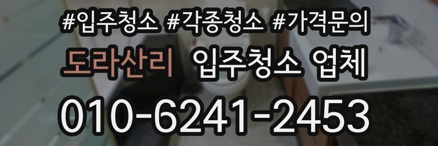 도라산리 입주청소 업체