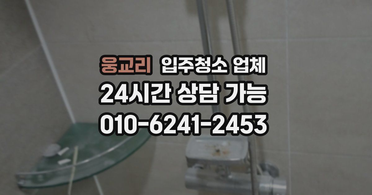 웅교리 입주청소 업체