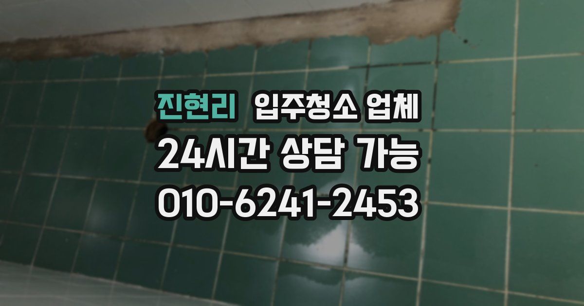 진현리 입주청소 업체