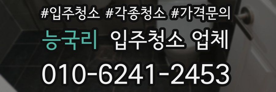 능국리 입주청소 업체