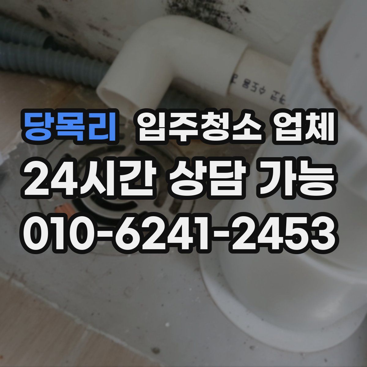 당목리 입주청소 업체