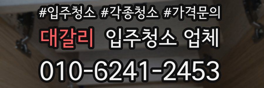 대갈리 입주청소 업체