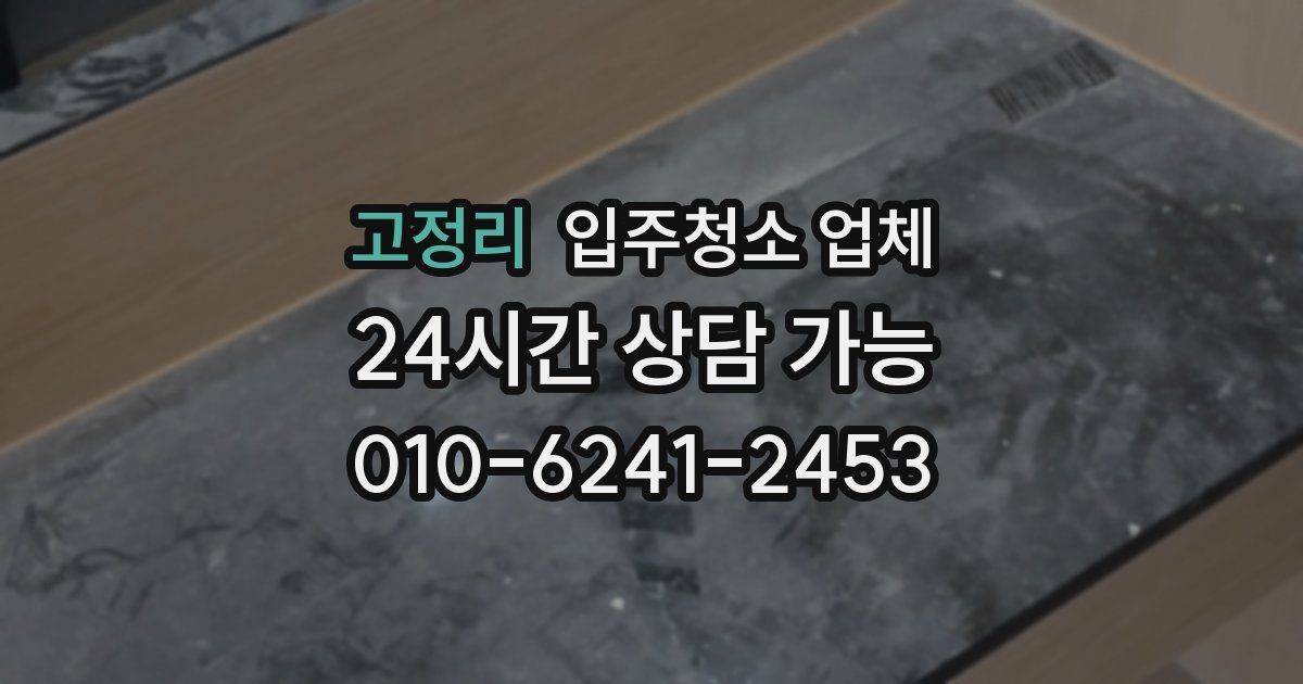 고정리 입주청소 업체