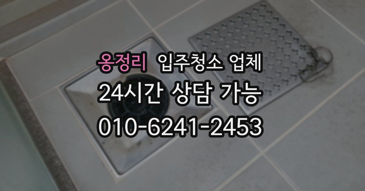 옹정리 입주청소 업체