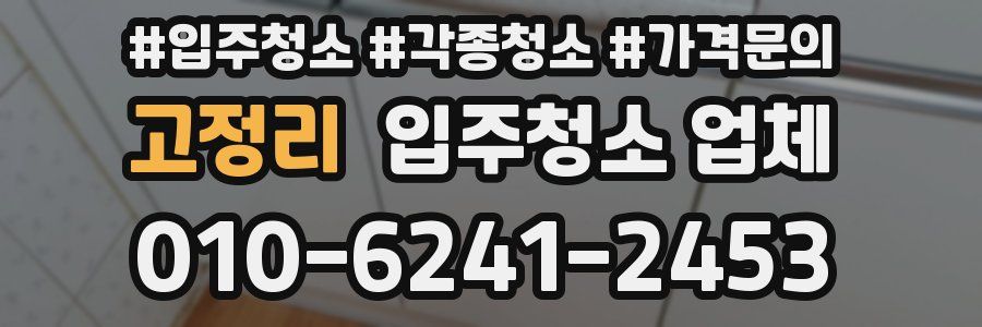 고정리 입주청소 업체