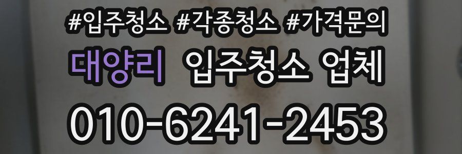 대양리 입주청소 업체