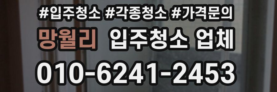 망월리 입주청소 업체