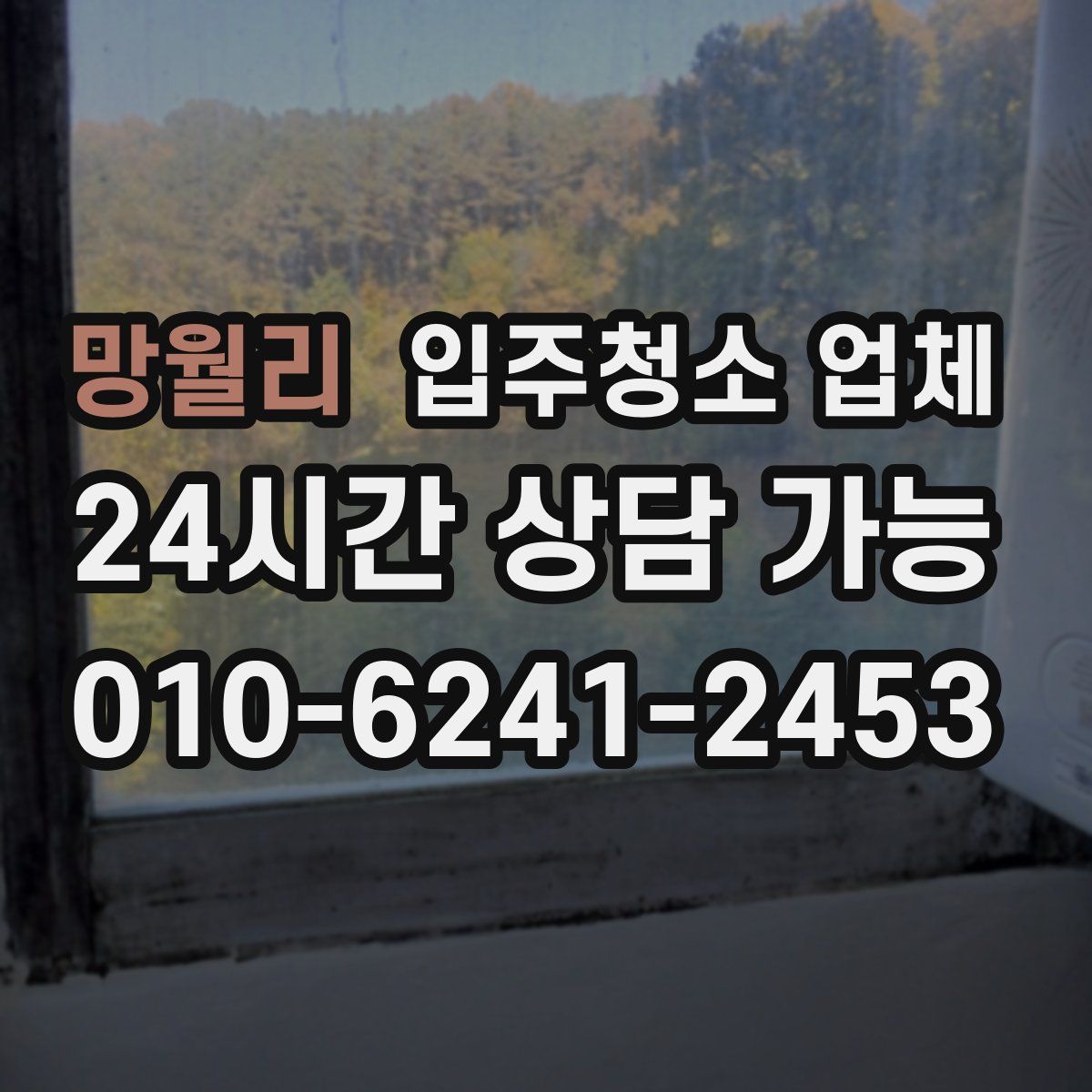 망월리 입주청소 업체
