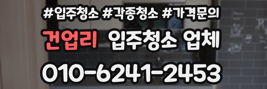 건업리 입주청소 업체