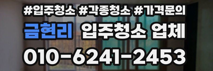 금현리 입주청소 업체