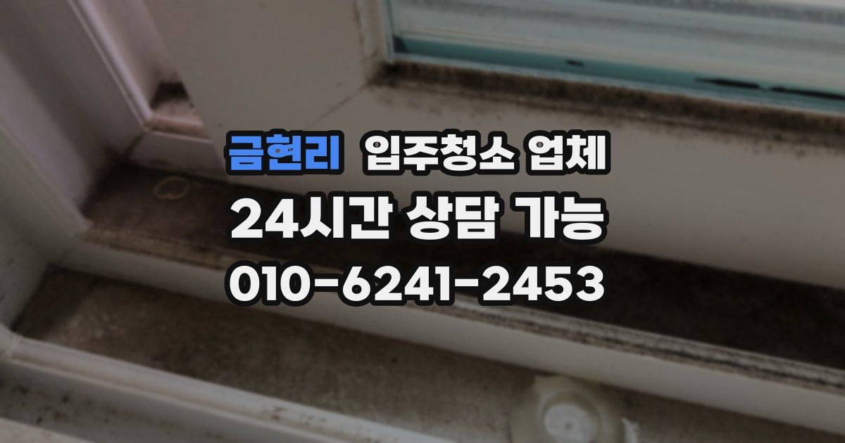 금현리 입주청소 업체