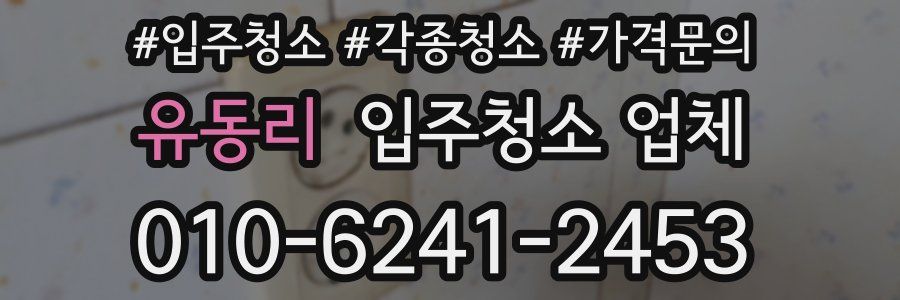유동리 입주청소 업체