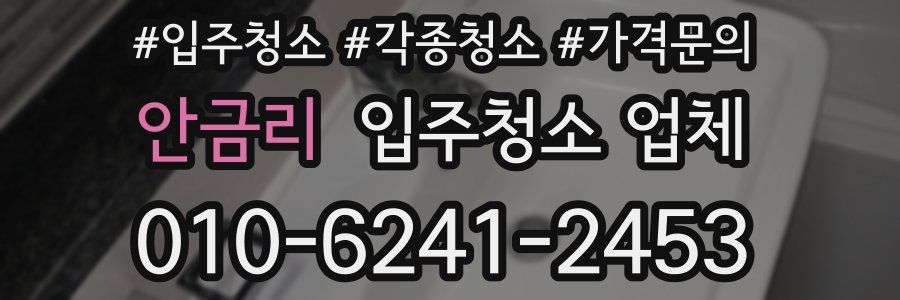 안금리 입주청소 업체
