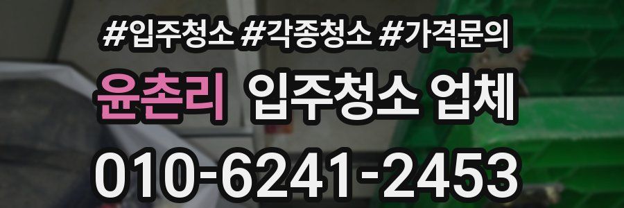 윤촌리 입주청소 업체