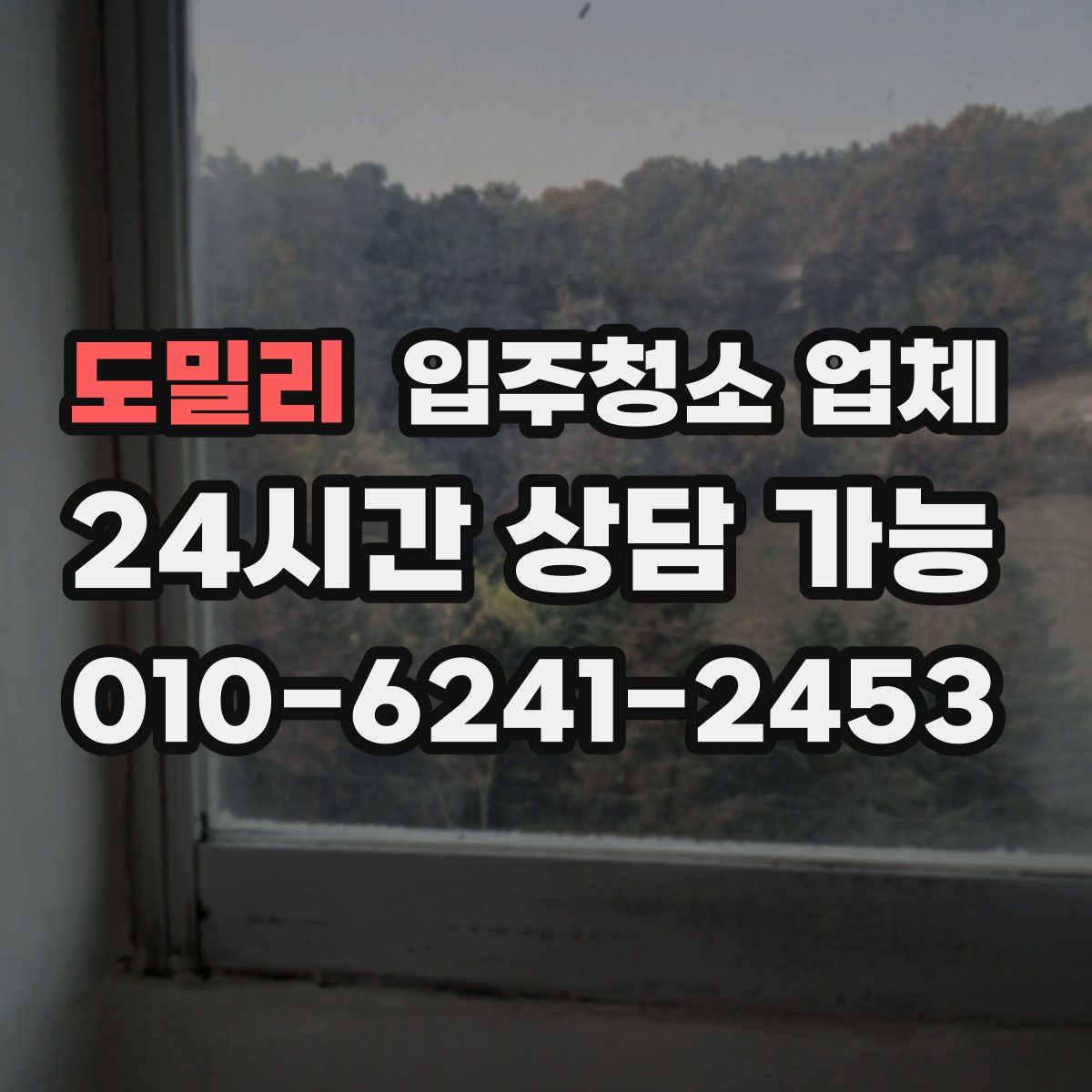 도밀리 입주청소 업체