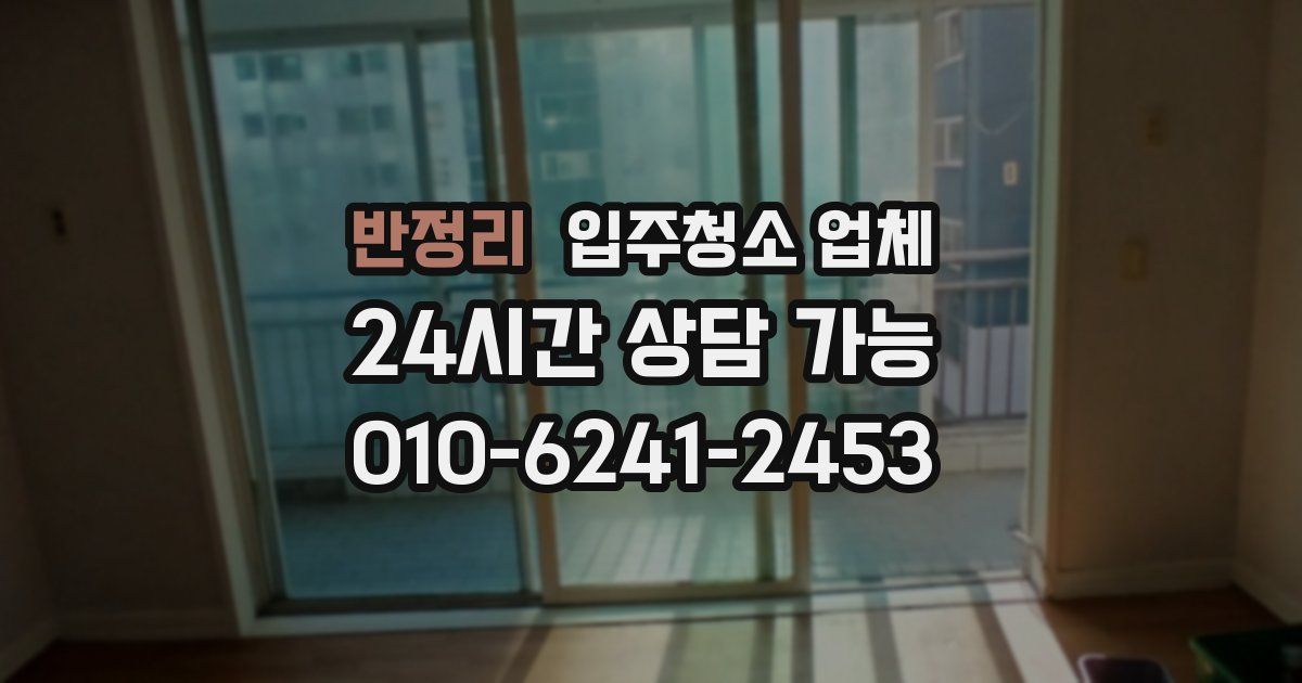 반정리 입주청소 업체
