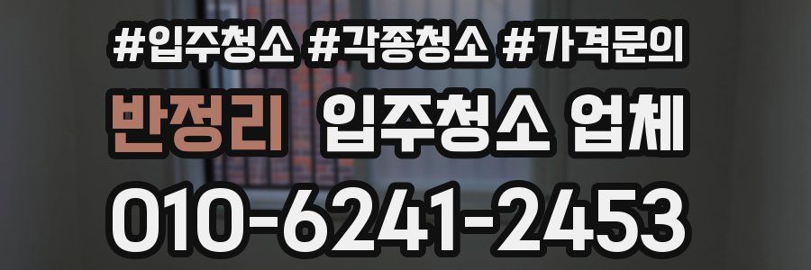 반정리 입주청소 업체