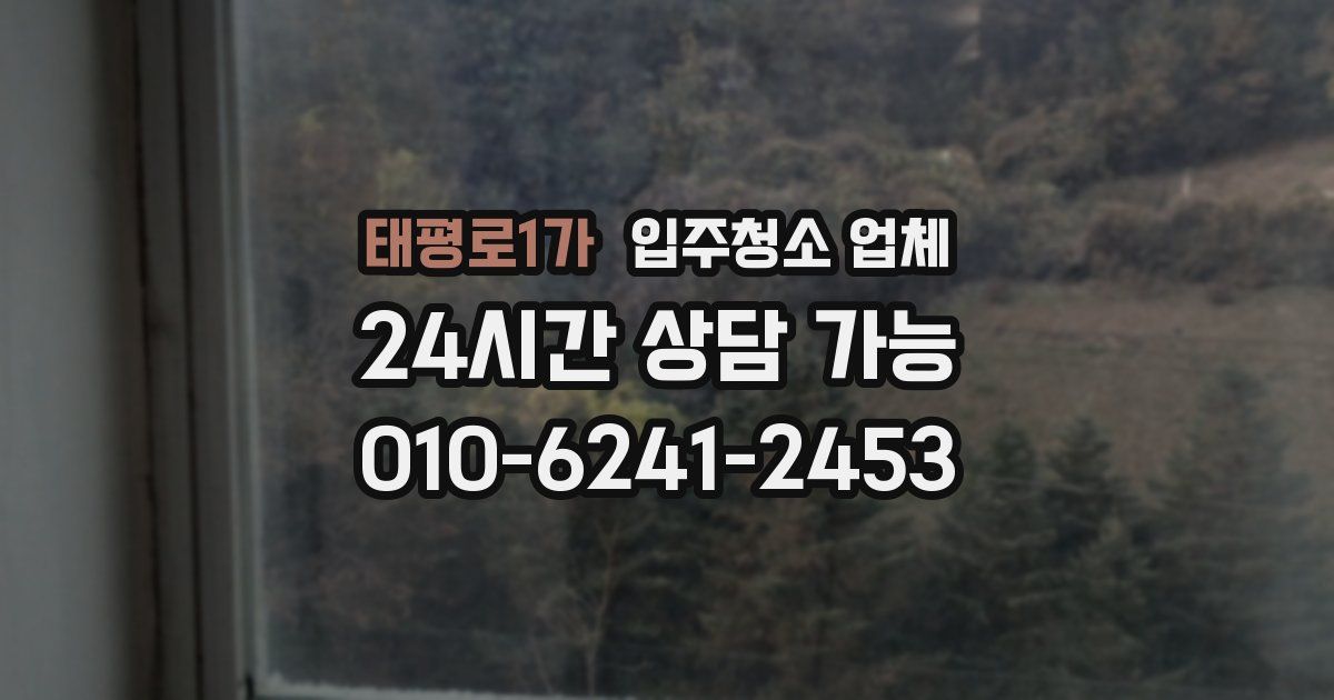 태평로1가 입주청소 업체