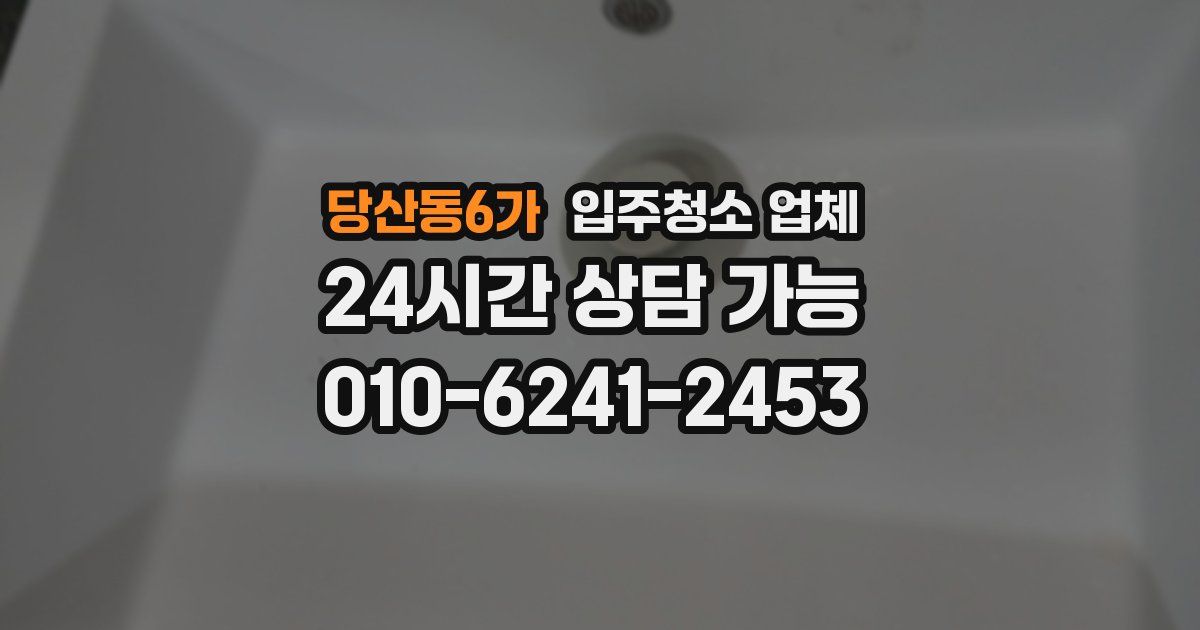 당산동6가 입주청소 업체