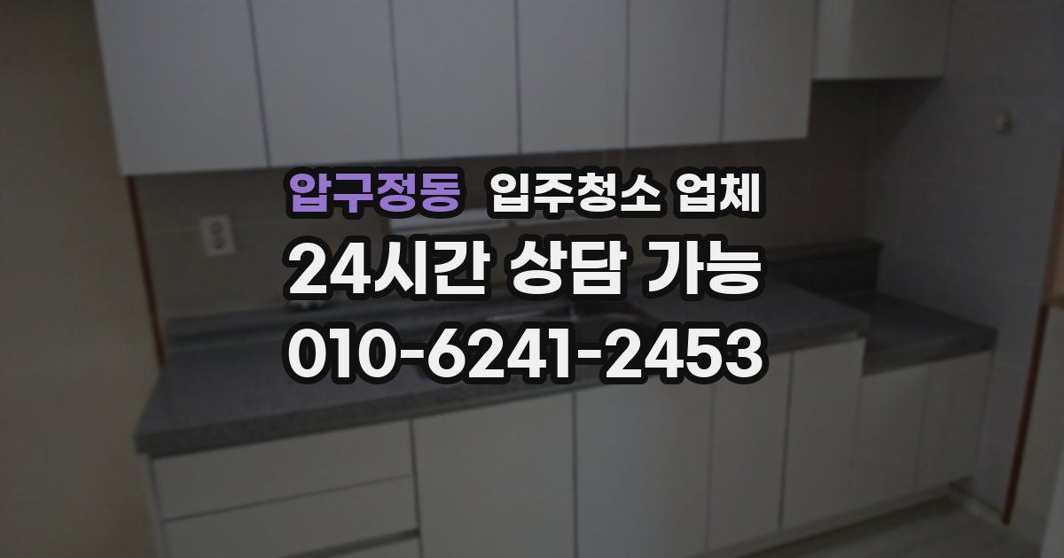 압구정동 입주청소 업체