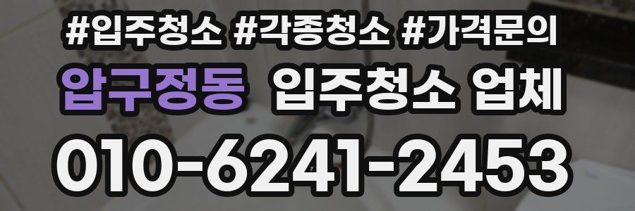 압구정동 입주청소 업체
