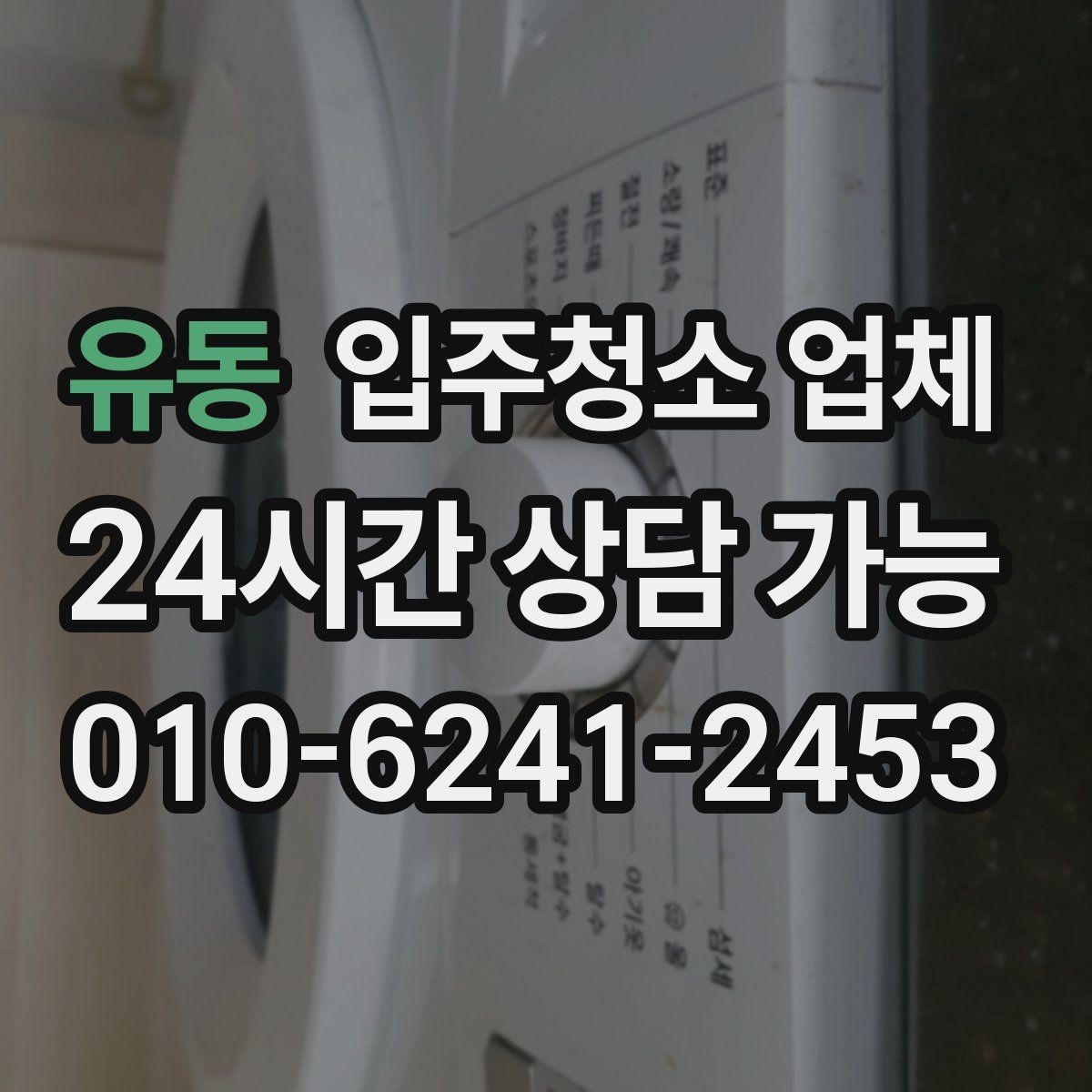 유동 입주청소 업체 서비스 범위와 옵션 차이