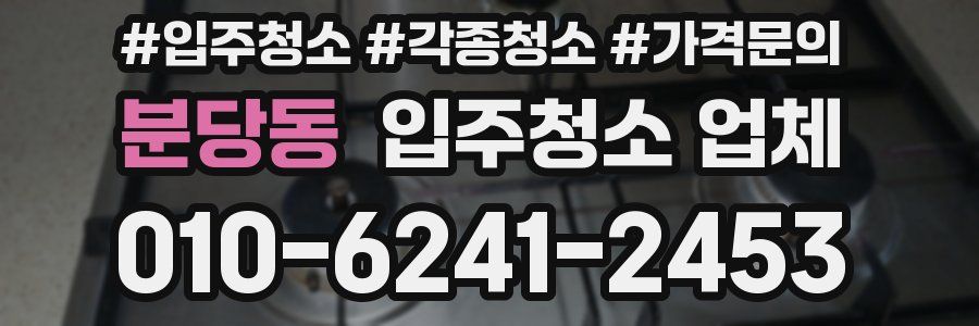 분당동 입주청소 업체