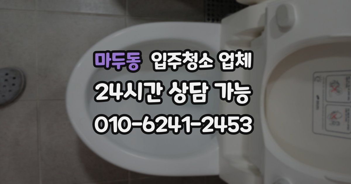 마두동 입주청소 업체