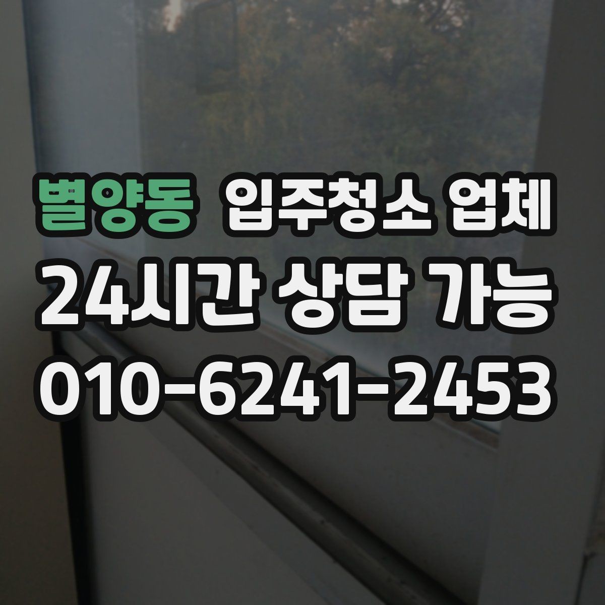 별양동 입주청소 업체 후기와 실제 서비스 차이 살펴보기