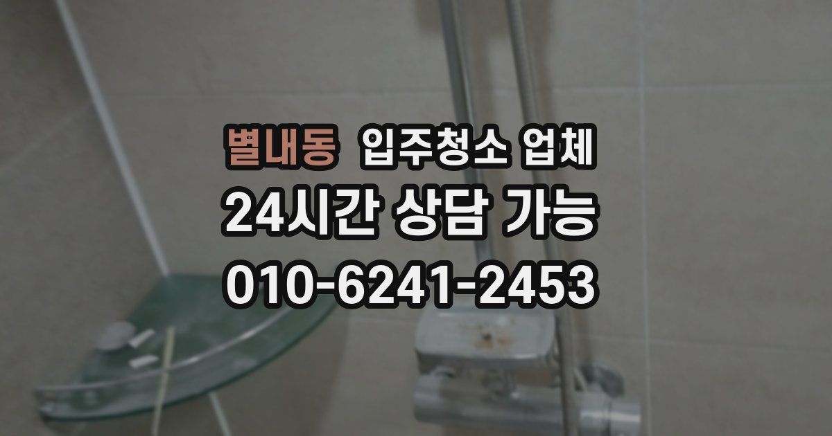 별내동 입주청소 업체