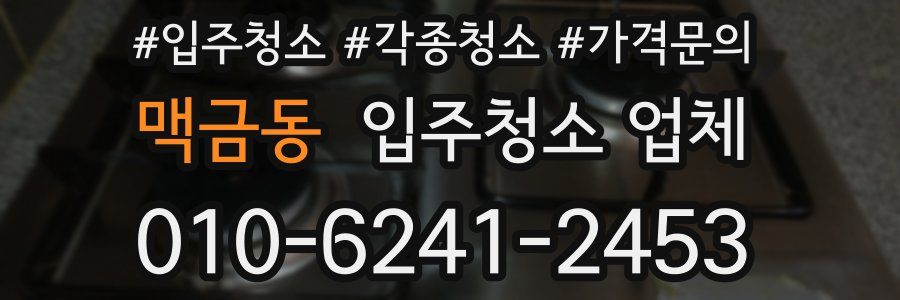 맥금동 입주청소 업체