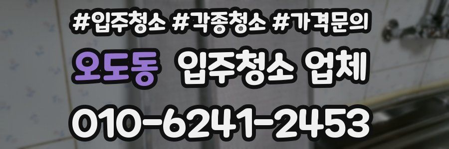 오도동 입주청소 업체