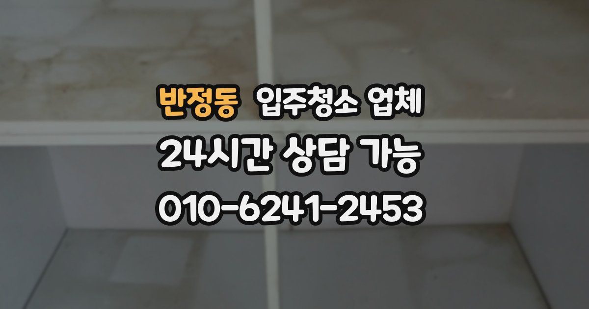 반정동 입주청소 업체