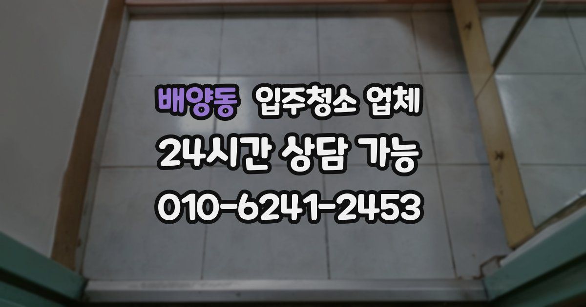 배양동 입주청소 업체