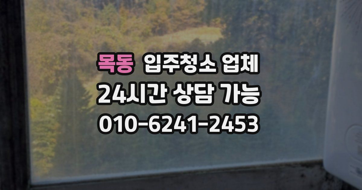 목동 입주청소 업체