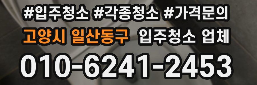 고양시 일산동구 입주청소 업체