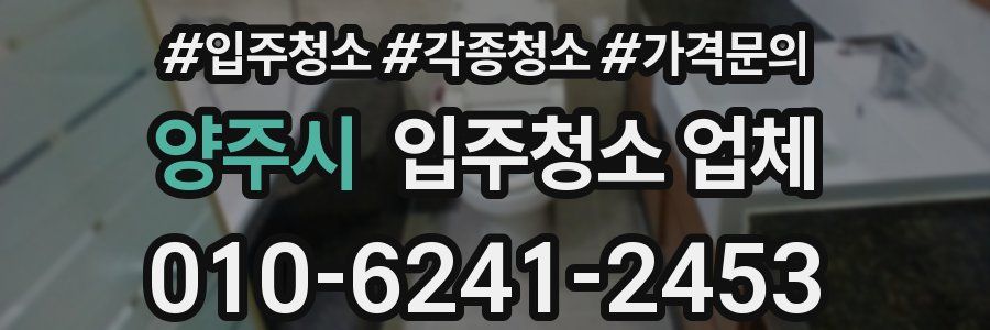 양주시 입주청소 업체