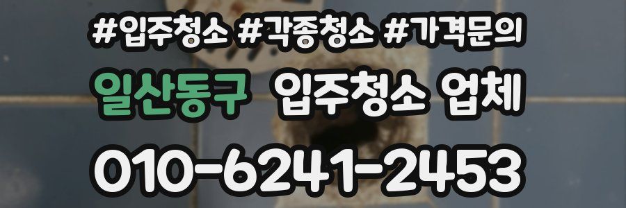 일산동구 입주청소 업체