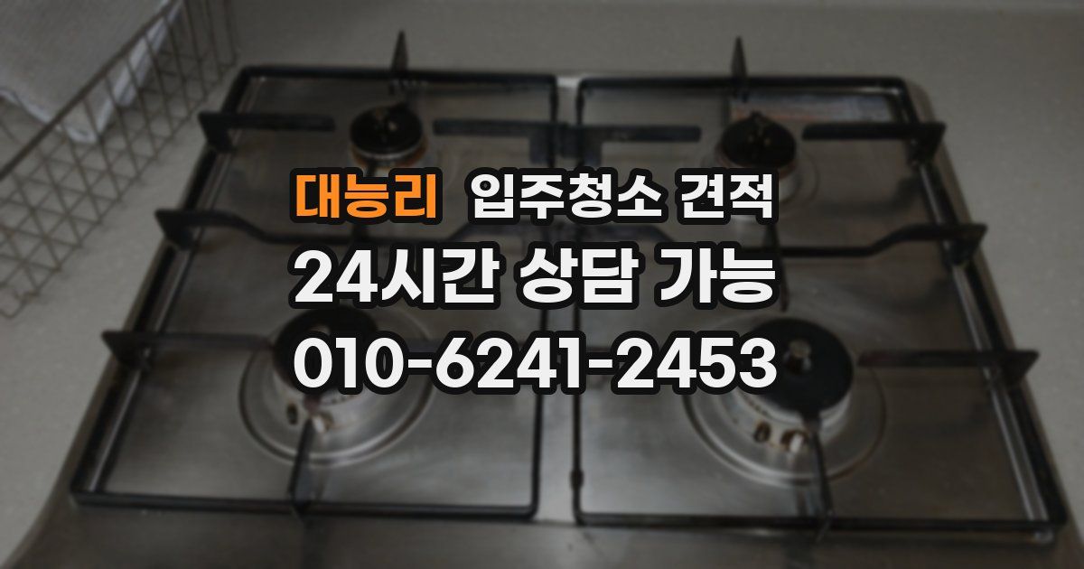 대능리 입주청소 견적