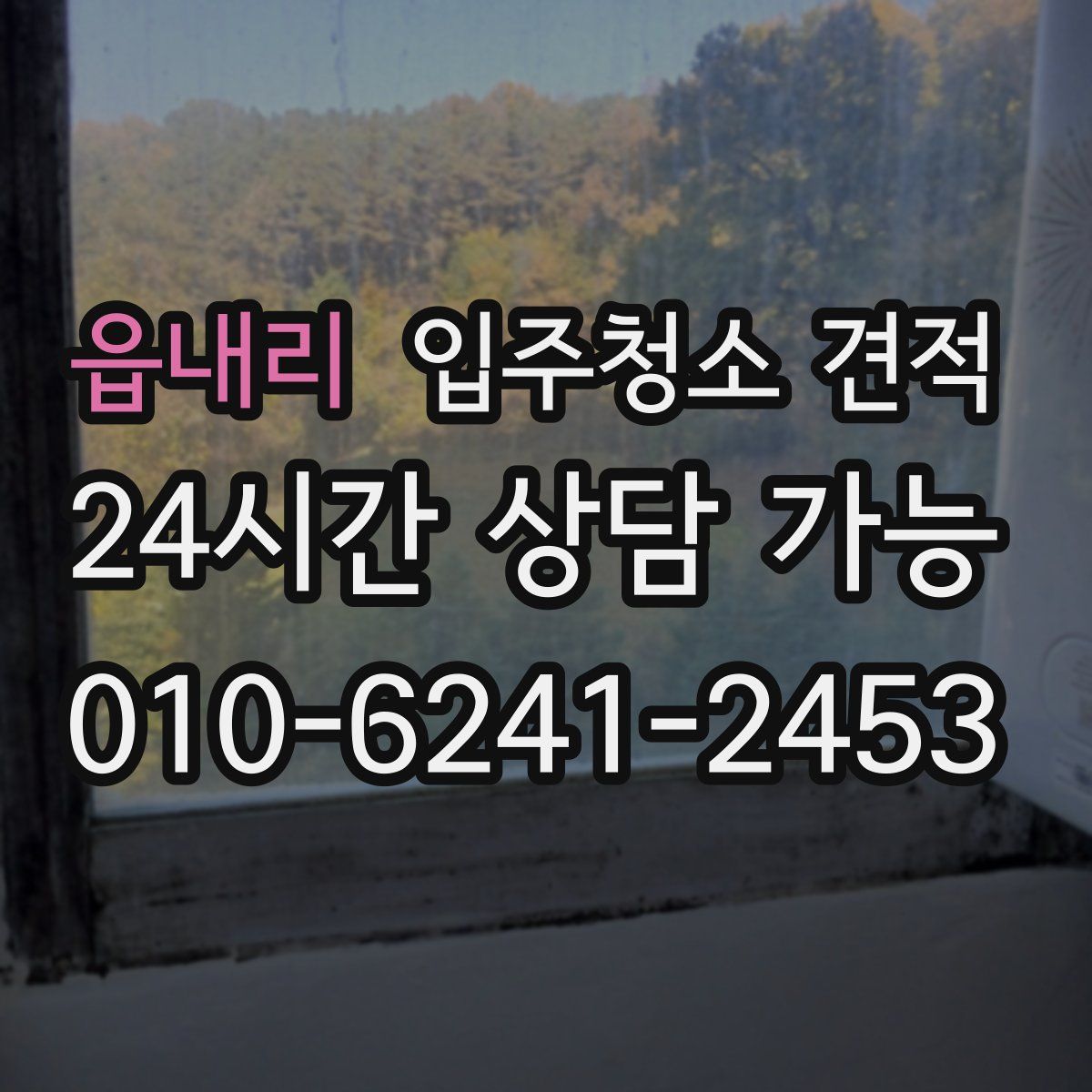 읍내리 입주청소 견적