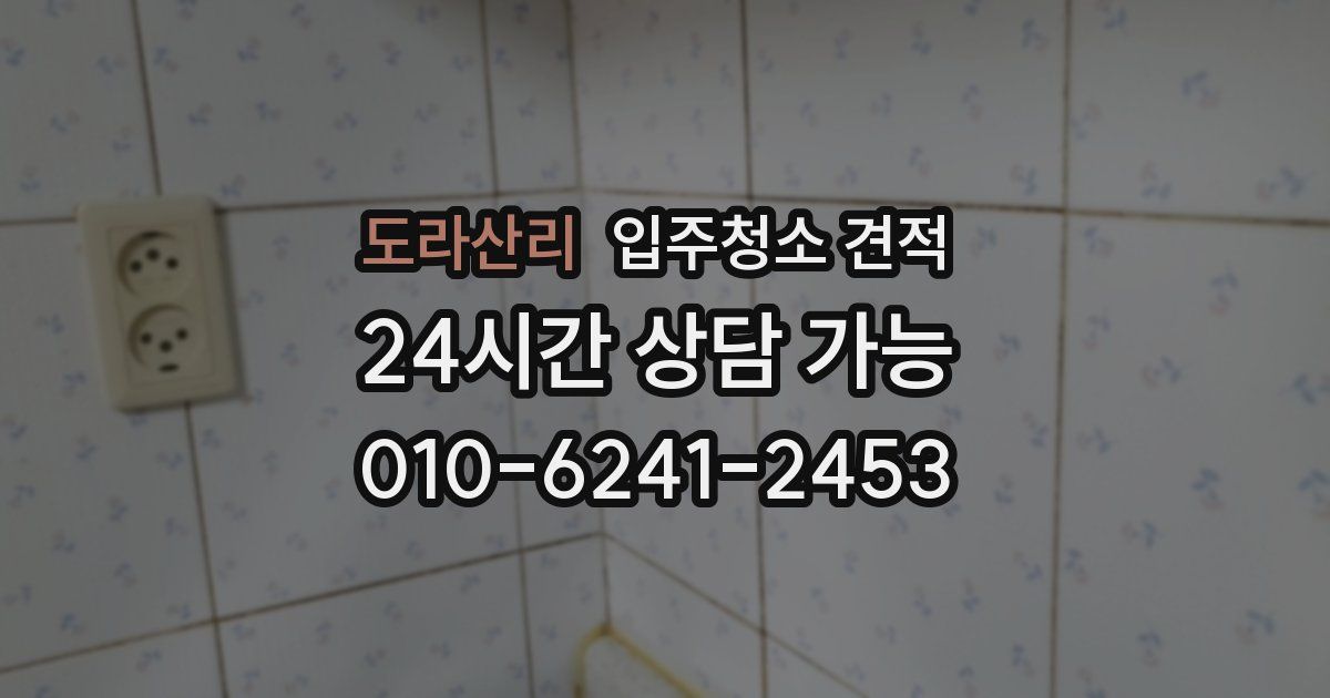 도라산리 입주청소 견적