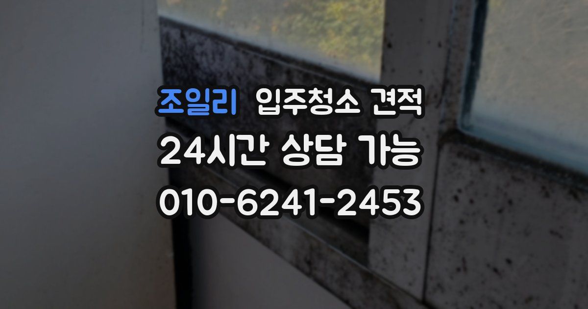 조일리 입주청소 견적