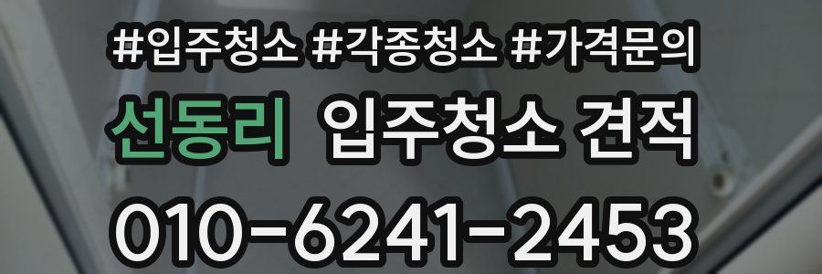 선동리 입주청소 견적