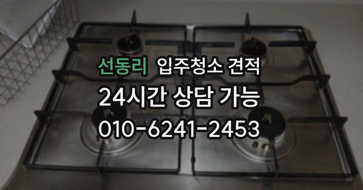 선동리 입주청소 견적