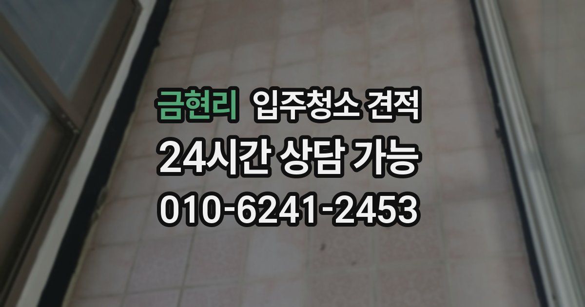 금현리 입주청소 견적