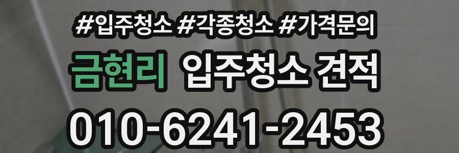 금현리 입주청소 견적