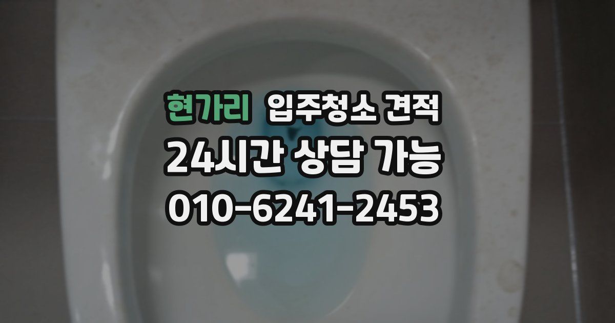현가리 입주청소 견적